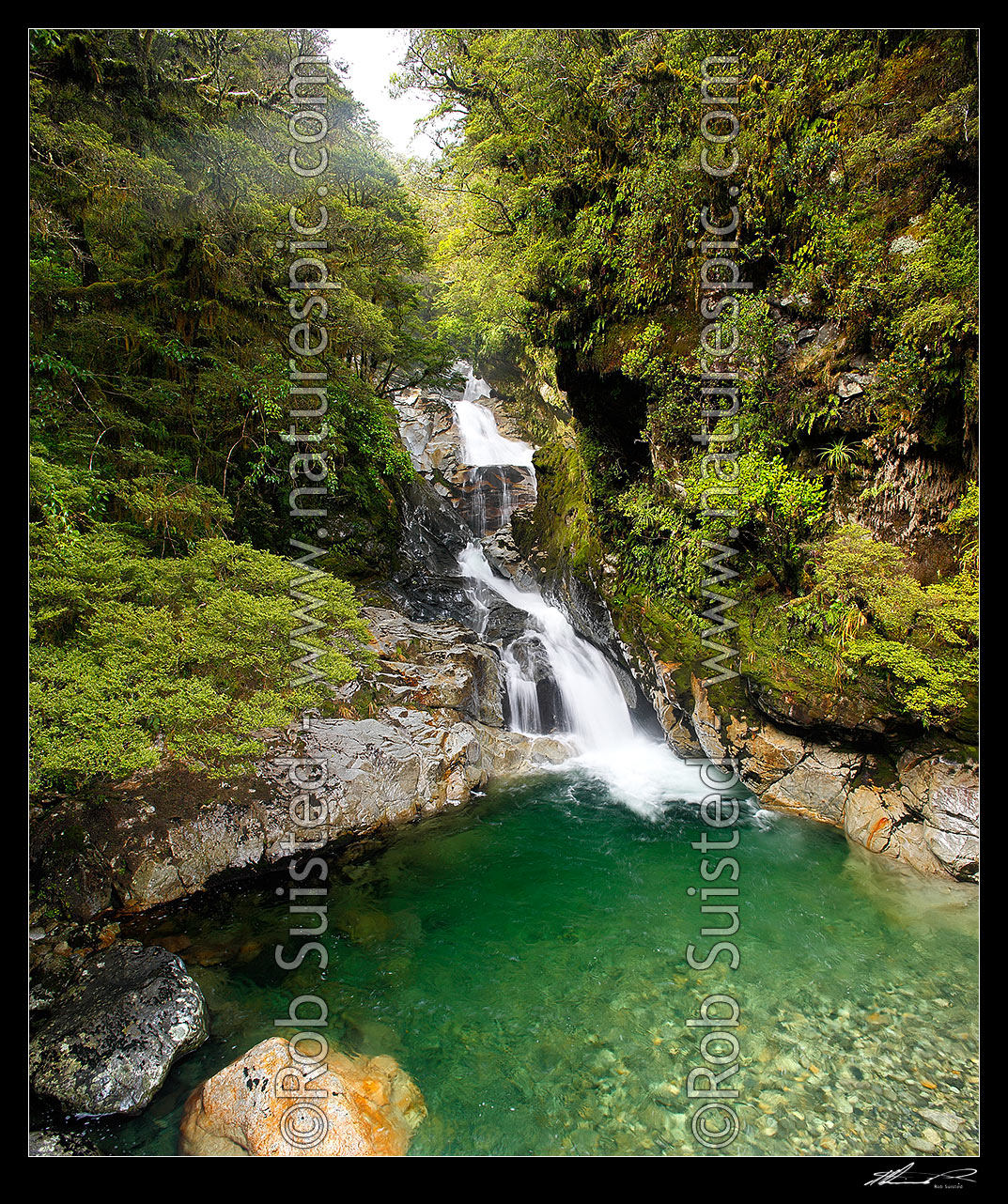 Image of Christie Falls. Falls Creek waterfalls in the Hollyford River Valley, enroute to Milford Sound; square format, Fiordland National Park, Southland District, Southland Region, New Zealand (NZ) stock photo image