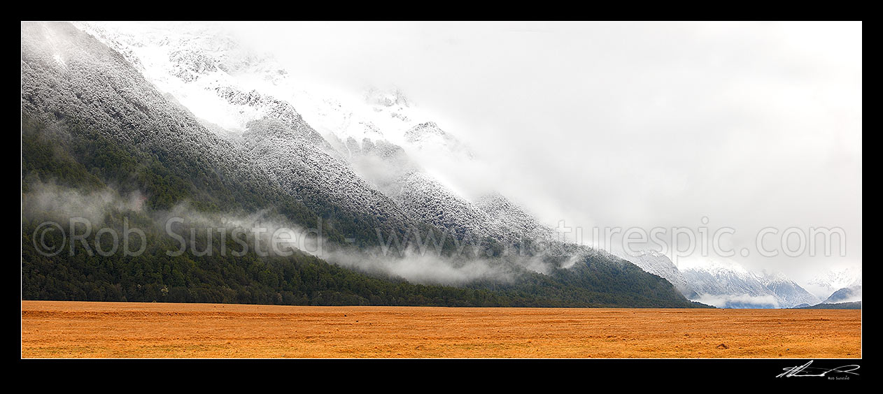 Image of Snow dusted beech forest and Earl Mountains above grassland in Eglinton River Valley, enroute to Milford Sound in winter. Panorama, Fiordland National Park, Southland District, Southland Region, New Zealand (NZ) stock photo image