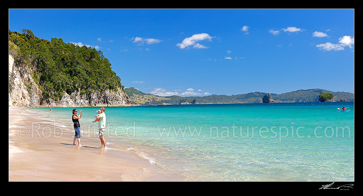 Image of Hahei Beach with a family enjoying and photographing the sunny summers day. Pohutukawa trees flowering and an azure blue sea. Panorama, Hahei, Coromandel Peninsula, Thames-Coromandel District, Waikato Region, New Zealand (NZ) stock photo image