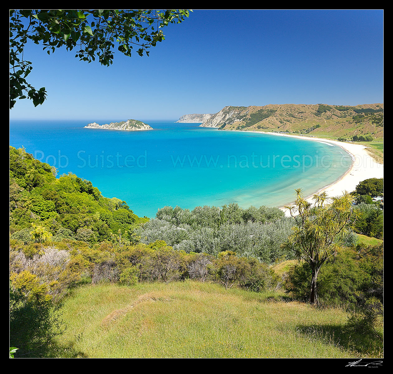 Image of Anaura Bay with Motuoroi Island left and Marau Point in distance. Site of Captain James Cook landing in 1769. Square format, Anaura Bay, East Coast, Gisborne District, Gisborne Region, New Zealand (NZ) stock photo image