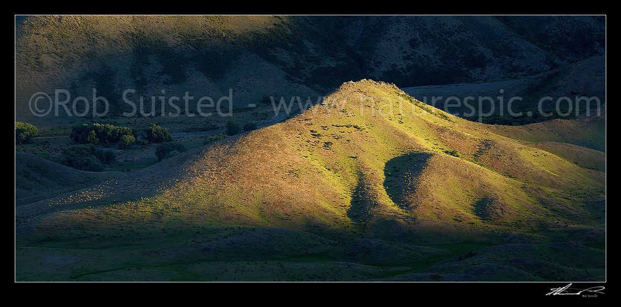 Image of Molesworth station front country in the last sunlight of the day. Awatere River valley. Panorama, Molesworth Station, Marlborough District, Marlborough Region, New Zealand (NZ) stock photo image