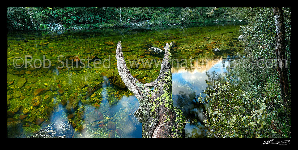 Image of Glaisnock River in the Glaisnock Wilderness Area. Serene river reflecting the sky amongst thick rainforest. Panorama, Fiordland National Park, Southland District, Southland Region, New Zealand (NZ) stock photo image