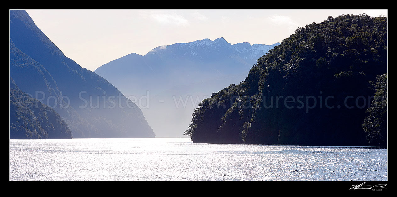 Image of Doubtful Sound / Patea looking past forest on Elizabeth Island at right. Wilderness winter panorama, Doubtful Sound, Fiordland National Park, Southland District, Southland Region, New Zealand (NZ) stock photo image