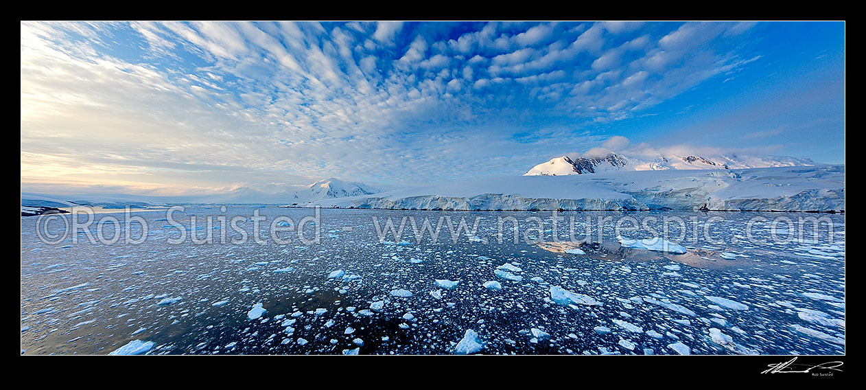 Image of Ice floating on calm dark water near Port Lockroy, with glacier and mountains behind. Panorama, Antarctic Peninsula, Antarctica Region, Antarctica stock photo image