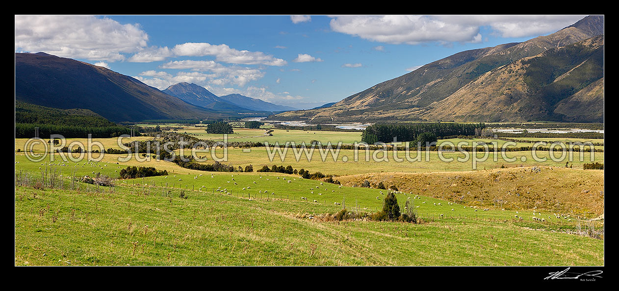 Image of Wairau River, looking down valley from near Tophouse over grazing sheep and farmland. Panorama, Tophouse Rainbow, Marlborough District, Marlborough Region, New Zealand (NZ) stock photo image