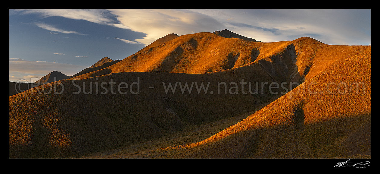 Image of Lindis Pass rolling high country hills covered with tussock, at sunset. Southern side of pass. Panorama in evening light, Lindis Pass, Central Otago District, Otago Region, New Zealand (NZ) stock photo image