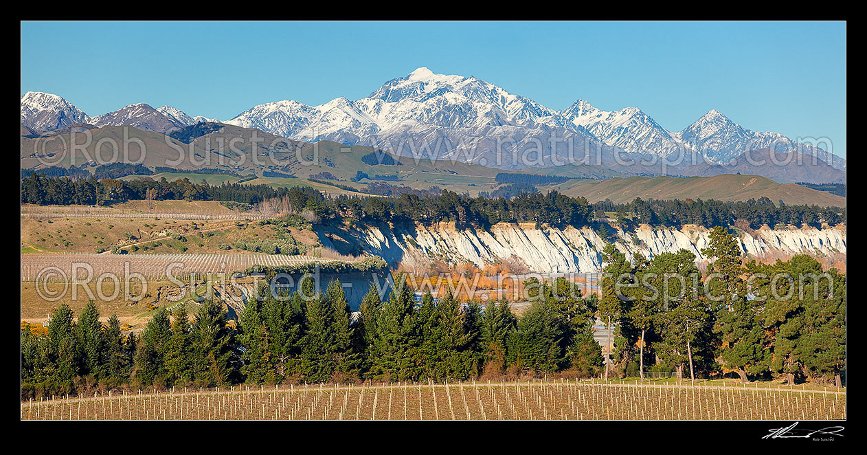 Image of Mount Tapuae-o-uenuku (2885m), Inland Kaikoura Ranges, above grape vineyards in the lower Awatere River Valley. Mt Alarm and Mitre Peak right. Panorama, Seddon, Marlborough District, Marlborough Region, New Zealand (NZ) stock photo image