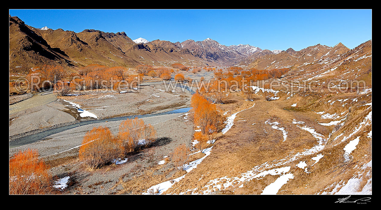 Image of Awatere River upper valley in winter with snow on ground, and barren willow trees. Panorama, Awatere Valley, Marlborough District, Marlborough Region, New Zealand (NZ) stock photo image