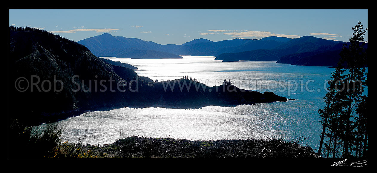 Image of Port Underwood with Robin Hood Bay in foreground. Marlborough Sounds panorama, Port Underwood, Marlborough District, Marlborough Region, New Zealand (NZ) stock photo image