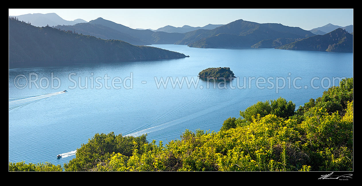 Image of Queen Charlotte Sound in the Marlborough Sounds. Wedge Point, Grove Arm and Mabel Island centre, with powerboat heading for Picton. Panorama, Picton, Marlborough Sounds, Marlborough District, Marlborough Region, New Zealand (NZ) stock photo image