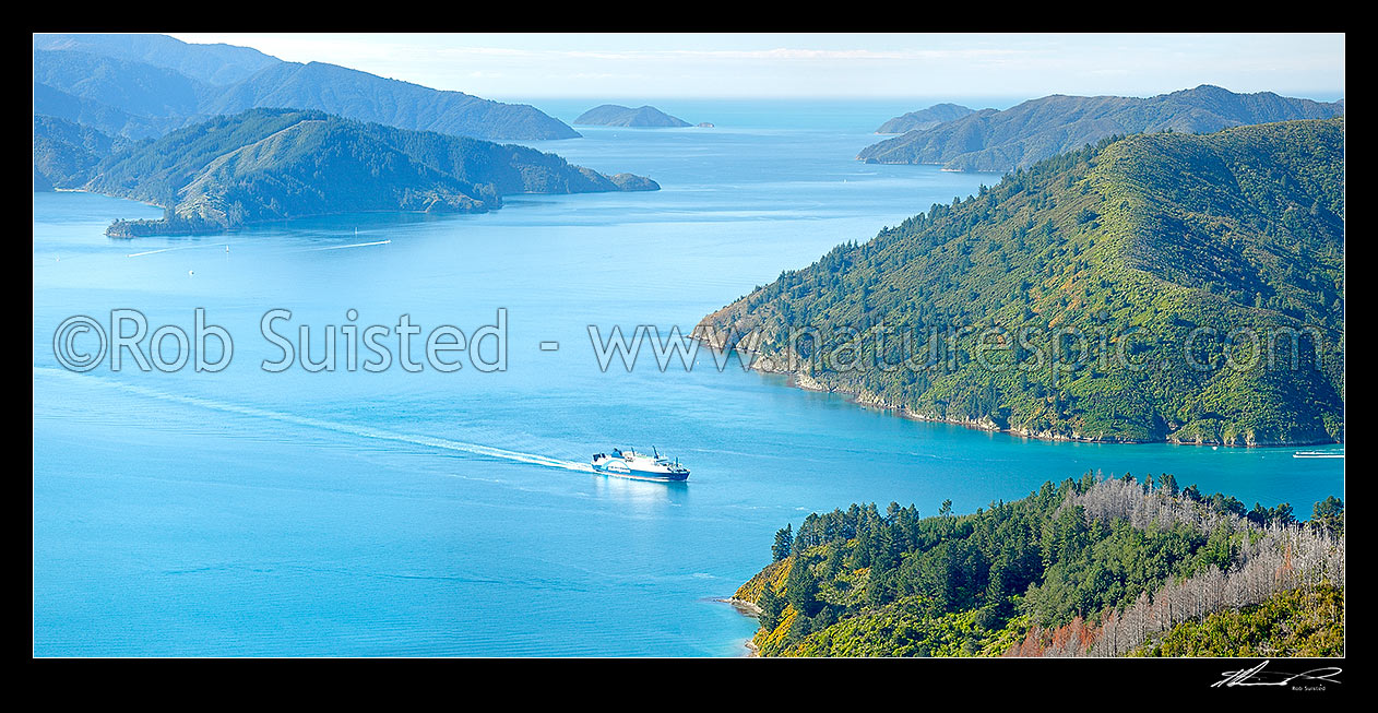 Image of Queen Charlotte Sound. Bluebridge Cook Strait ferry entering Tory Channel near Ruaomoko Point. Motuara Island distant. Panorama, Marlborough Sounds, Marlborough District, Marlborough Region, New Zealand (NZ) stock photo image