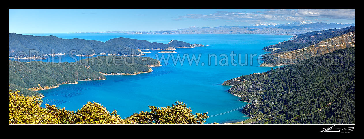 Image of Port Underwood and Cloudy Bay panorama with the Kaikoura Ranges beyond. Robertson and Separation Points and Horahora Kakahu Island centre, Port Underwood, Marlborough District, Marlborough Region, New Zealand (NZ) stock photo image