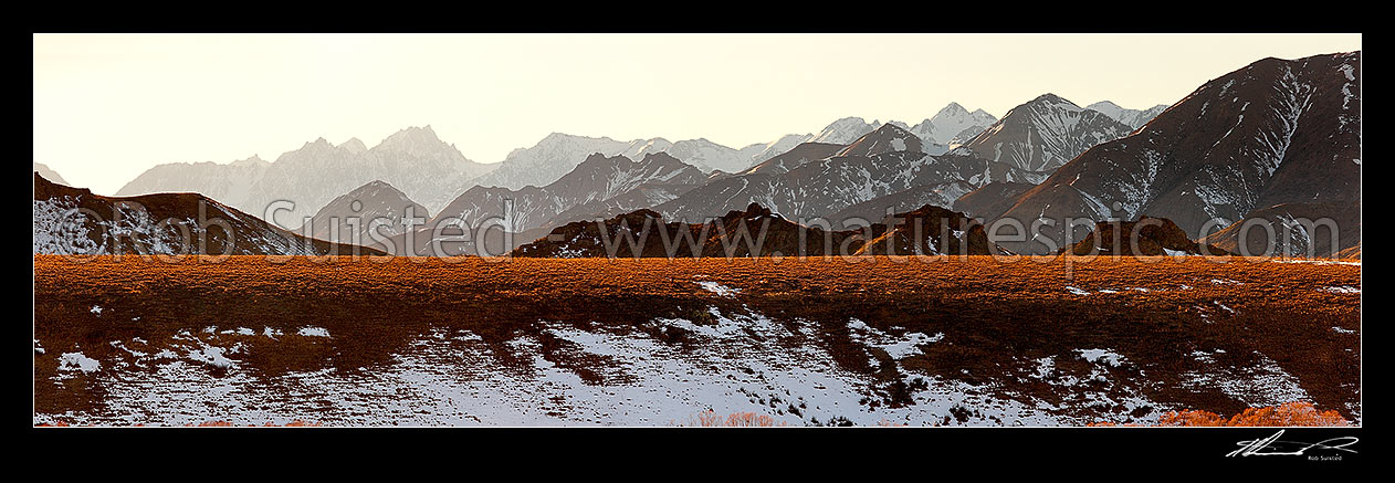 Image of Inland Kaikoura Range with Mitre Peak, Mt Tapuae-o-Uenuku (2885m) and Mt Alarm left, in spring snow, from Molesworth Station. Panorama, Molesworth Station, Marlborough District, Marlborough Region, New Zealand (NZ) stock photo image