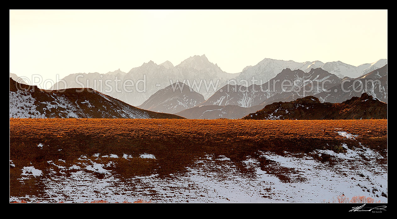 Image of Inland Kaikoura Range with Mitre Peak, Mount Tapuae-o-Uenuku (2885m), Mt Alarm and Mt Symons, in spring snow, seen from Molesworth Station, Molesworth Station, Marlborough District, Marlborough Region, New Zealand (NZ) stock photo image