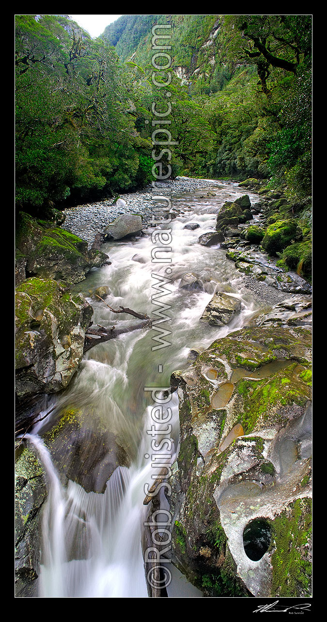 Image of The Chasm is the Cleddau River plunging through a narrow river gorge amongst rainforest near Milford Sound. Vertical panorama, Fiordland National Park, Southland District, Southland Region, New Zealand (NZ) stock photo image