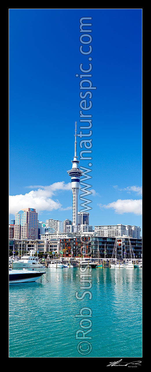 Image of Auckland City waterfront at the Viaduct Harbour Basin with yachts and boats moored in front of the City and buildings. The Auckland Skytower above. Vertical panorama, Auckland City, Auckland City District, Auckland Region, New Zealand (NZ) stock photo image