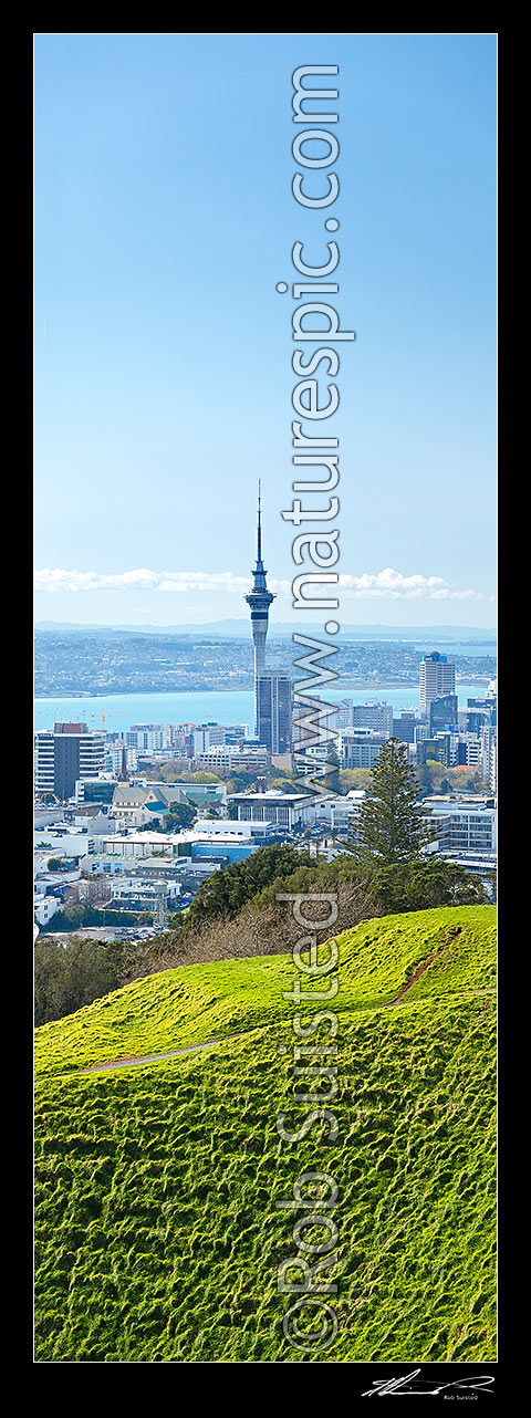 Image of Auckland City and Waitemata Harbour from Mount Eden (Maungawhau) volcanic cone. Vertical panorama. Mt Eden, Auckland City, Auckland City District, Auckland Region, New Zealand (NZ) stock photo image