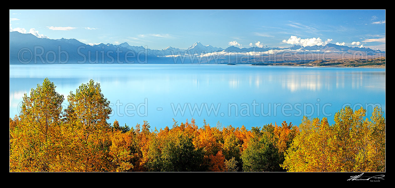 Image of Aoraki Mount Cook 'the cloud piercer' peak centre, above Lake Pukaki. Trees in autumn colours on lake front. Ben Ohau Range left, Mt Cook, MacKenzie District, Canterbury Region, New Zealand (NZ) stock photo image