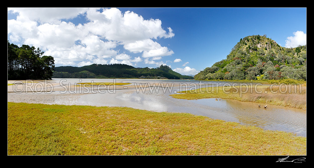 Image of Opoutere with Wharekawa Harbour and Wahitapu stream estuary. Maungaruawhare hill at right. Panorama, Opoutere, Thames-Coromandel District, Waikato Region, New Zealand (NZ) stock photo image