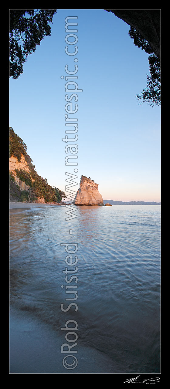 Image of Cathedral Cove beach at dawn, in Whanganui A Hei Marine Reserve. Vertical panorama, Hahei, Coromandel Peninsula, Thames-Coromandel District, Waikato Region, New Zealand (NZ) stock photo image