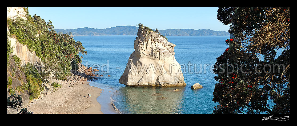 Image of Cathedral Cove beach with people enjoying a peaceful morning, in Whanganui A Hei Marine Reserve. Panorama, Hahei, Coromandel Peninsula, Thames-Coromandel District, Waikato Region, New Zealand (NZ) stock photo image