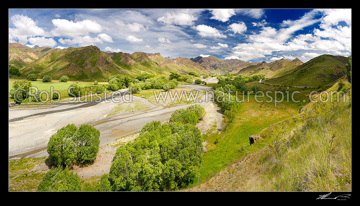 Image of Awatere River upper valley in late spring trees. Panorama. Compare seasons to 44603, 43042, Awatere Valley, Marlborough District, Marlborough Region, New Zealand (NZ) stock photo image