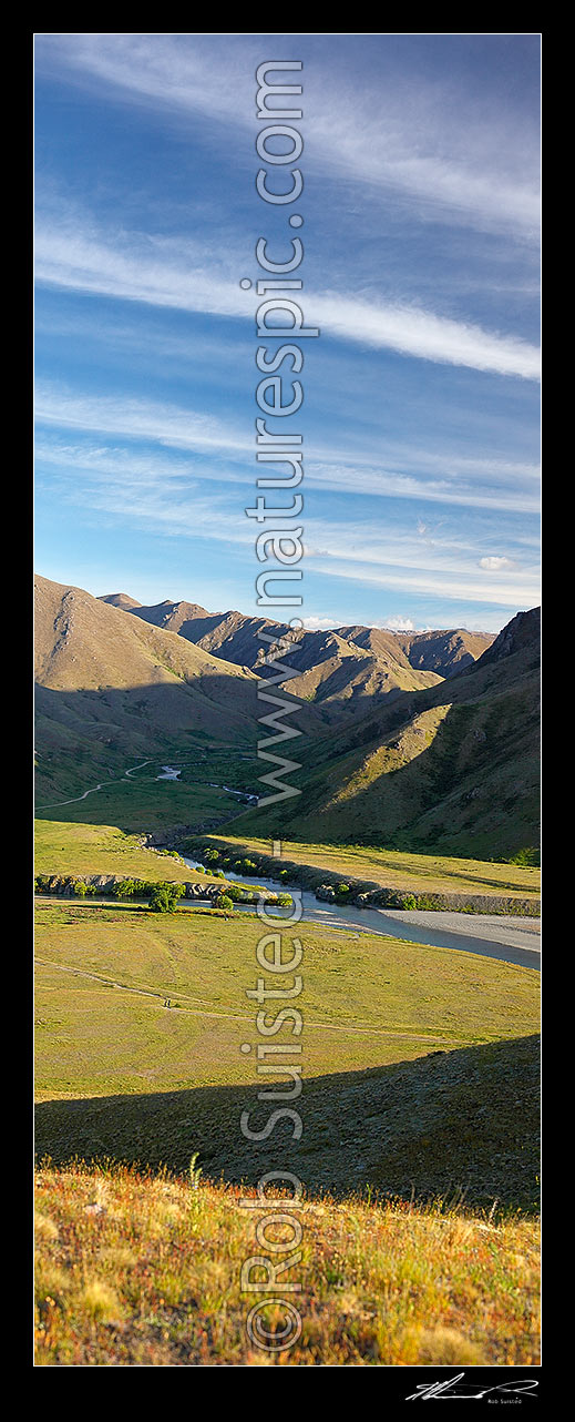 Image of Molesworth Station at the confluence of the Clarence and Acheron Rivers. Lush spring vertical panorama, Molesworth Station, Marlborough District, Marlborough Region, New Zealand (NZ) stock photo image