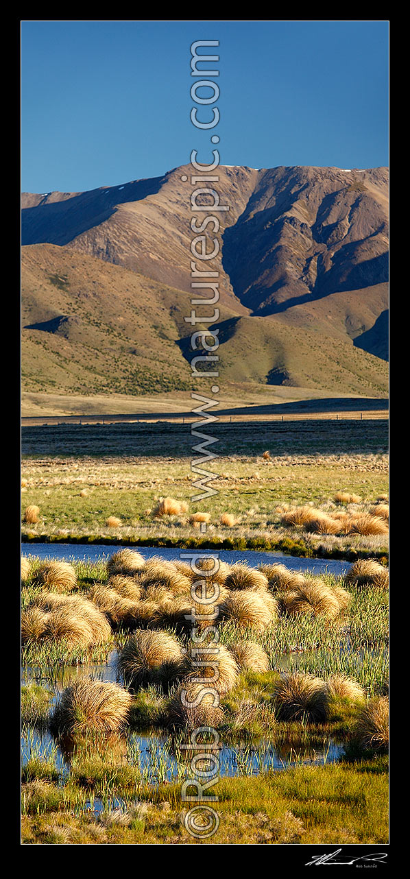 Image of Lake Sedgemere evening, with Boddington Range above wetlands. Tarndale vertical panorama, Molesworth Station, Marlborough District, Marlborough Region, New Zealand (NZ) stock photo image