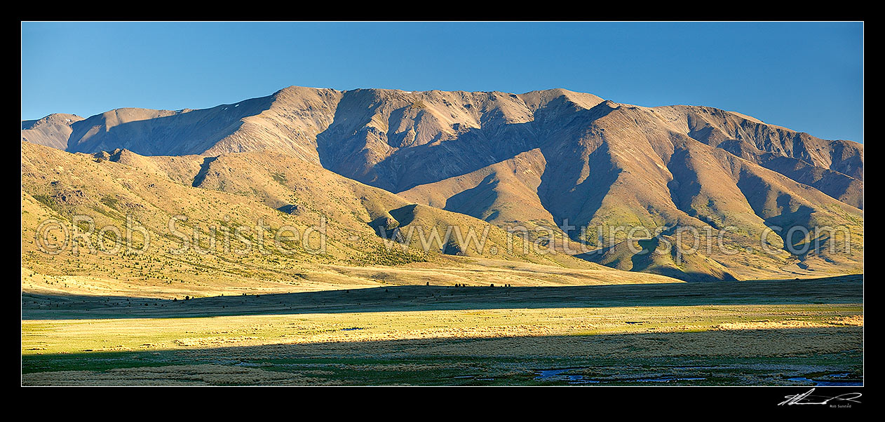 Image of Boddington Range panorama in evening light, above Sedgemere and Tarndale wetland, Molesworth Station, Marlborough District, Marlborough Region, New Zealand (NZ) stock photo image