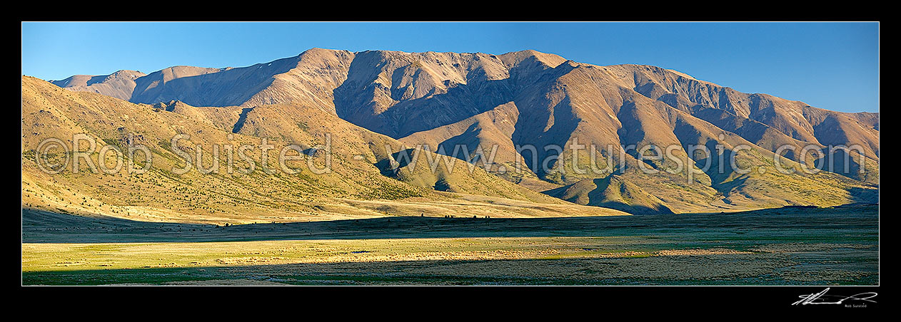 Image of Boddington Range panorama in evening light, above Sedgemere and Tarndale wetland, Molesworth Station, Marlborough District, Marlborough Region, New Zealand (NZ) stock photo image