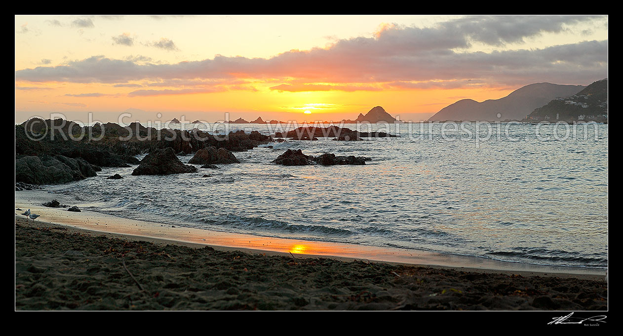 Image of Island Bay summer sunset over Taputeranga Island and Te Raekaihau reef on Wellington's South Coast. Panorama, Houghton Bay, Wellington City District, Wellington Region, New Zealand (NZ) stock photo image