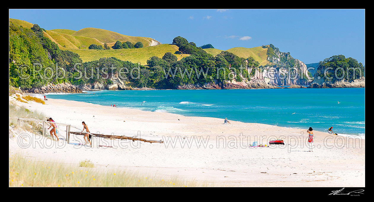 Image of Coromandel Beach at Whiritoa, with people enjoying relaxing, bodyboarding, swimming, surfing, walking and sunbathing in summer warmth. Coromandel Peninsula. Panorama, Whiritoa, Hauraki District, Waikato Region, New Zealand (NZ) stock photo image