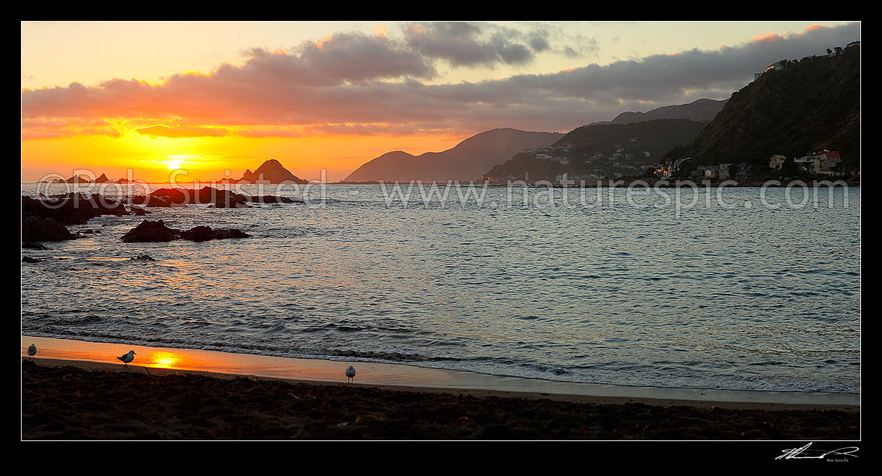 Image of Island Bay summer sunset over Taputeranga Island and Te Raekaihau reef on Wellington's South Coast. Panorama, Houghton Bay, Wellington City District, Wellington Region, New Zealand (NZ) stock photo image