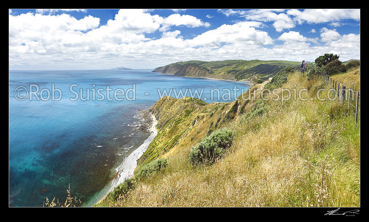 Image of Makara Walkway with walker on the Fort Opau Makara gun emplacements walk above Opau Bay and Makara cliffs, looking to Mana and Kapiti Islands, Makara Beach, Wellington City District, Wellington Region, New Zealand (NZ) stock photo image