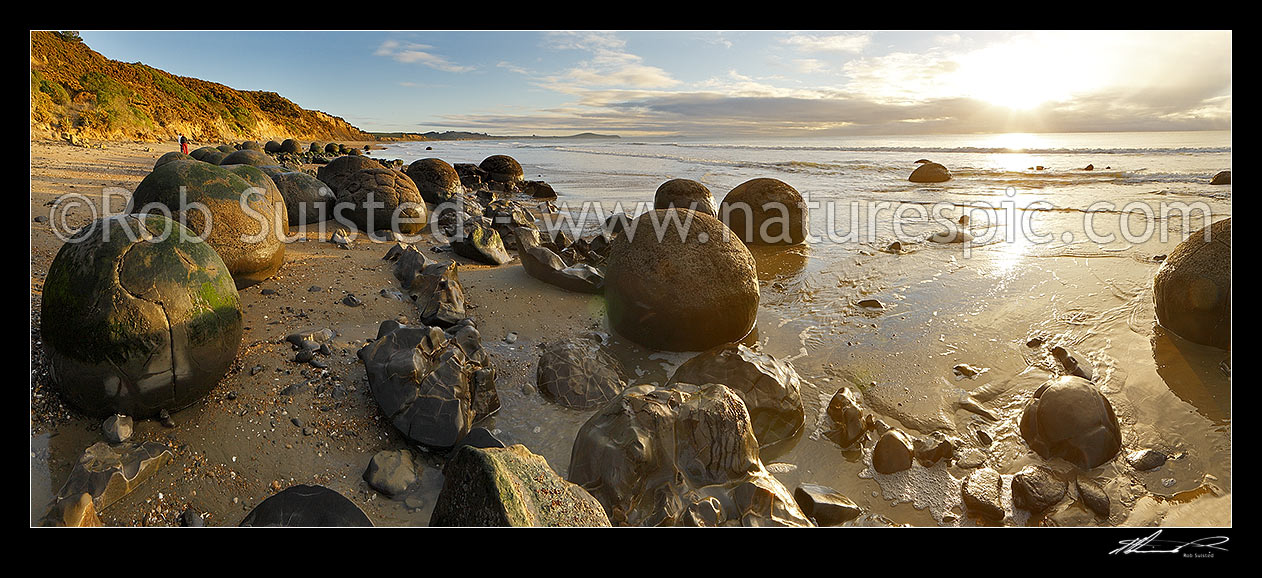 Image of Moeraki Boulders / Kaihinaki on Koekohe Beach at sunrise. 60 Million year old mudstone concretions. Panorama, Moeraki, Waitaki District, Canterbury Region, New Zealand (NZ) stock photo image