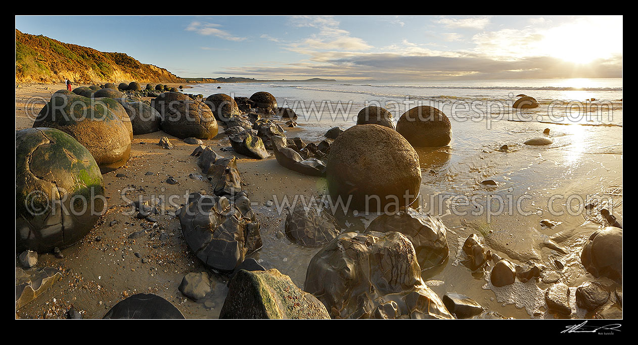 Image of Moeraki Boulders / Kaihinaki, 60 Million year old mudstone concretions. Panorama with tourist visitors enjoying sunrise, Moeraki, Waitaki District, Canterbury Region, New Zealand (NZ) stock photo image