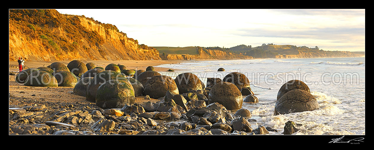 Image of Moeraki Boulders / Kaihinaki, 60 Million year old mudstone concretions. Panorama with tourist visitors enjoying sunrise, Moeraki, Waitaki District, Canterbury Region, New Zealand (NZ) stock photo image