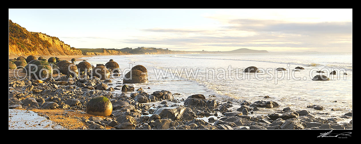 Image of Moeraki Boulders / Kaihinaki, 60 Million year old mudstone concretions at sunrise with Lookout Bluff distant right. Panorama, Moeraki, Waitaki District, Canterbury Region, New Zealand (NZ) stock photo image