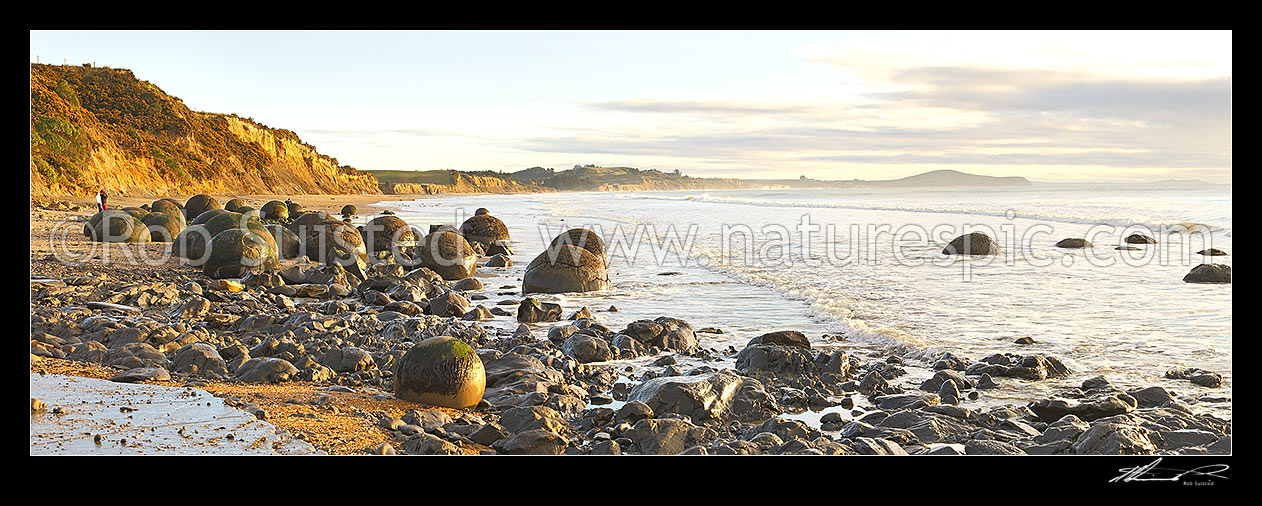 Image of Moeraki Boulders / Kaihinaki, 60 Million year old mudstone concretions at sunrise with Lookout Bluff distant right. Panorama, Moeraki, Waitaki District, Canterbury Region, New Zealand (NZ) stock photo image