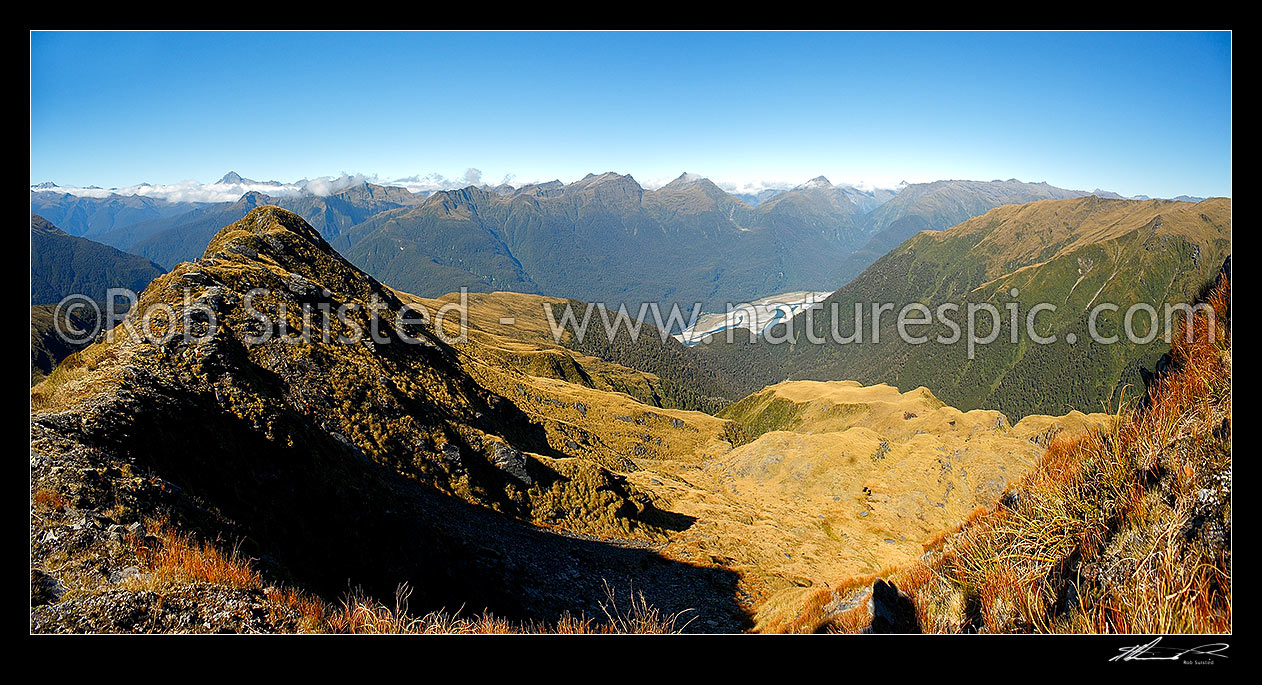 Image of Haast River valley panorama from the Thomas Range above Crow Creek. Mt Brewster (2516m) far left, Haast, Westland District, West Coast Region, New Zealand (NZ) stock photo image