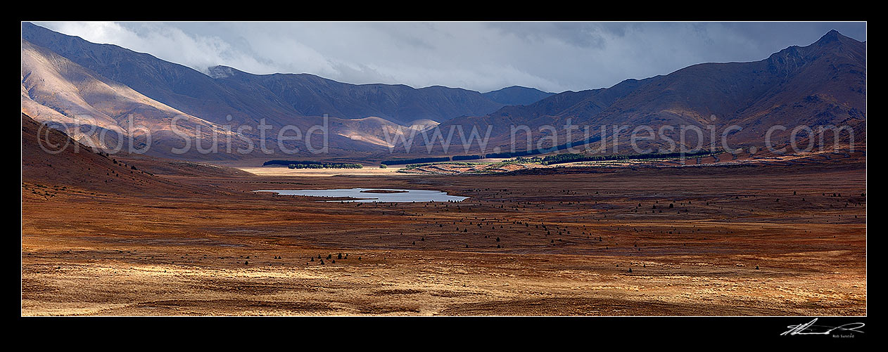 Image of Island Lake at Tarndale and Sedgemere Tarns, with Tarndale homestead, Alma River valley, Boddington Range in distance. Mitre Peak (1556m) far right. Panorama, Molesworth Station, Marlborough District, Marlborough Region, New Zealand (NZ) stock photo image