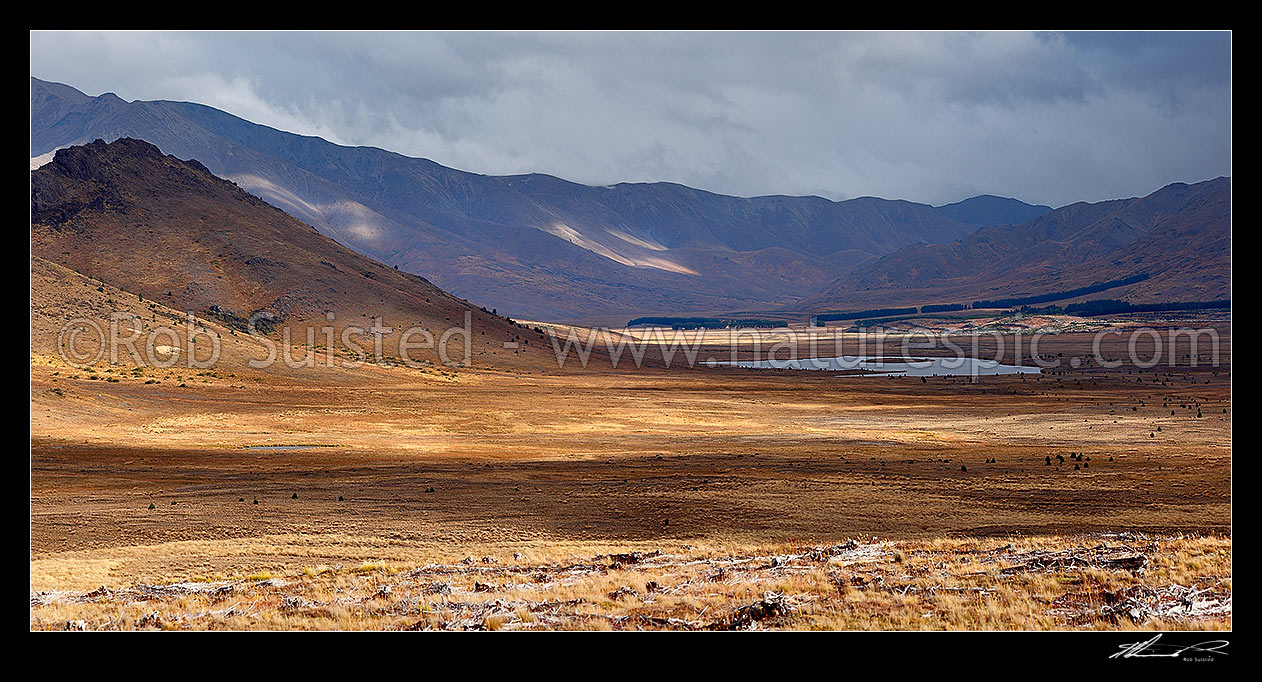 Image of Island Lake at Tarndale and Sedgemere Tarns, with Tarndale homestead, Alma River valley, Boddington Range in distance. Panorama, Molesworth Station, Marlborough District, Marlborough Region, New Zealand (NZ) stock photo image