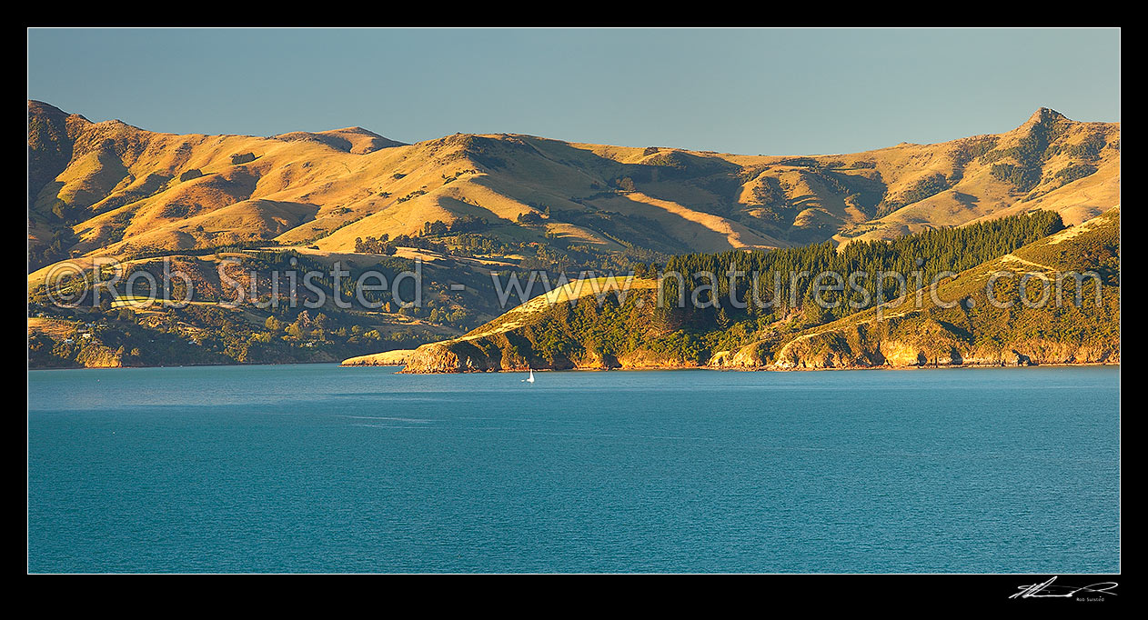 Image of Akaroa Harbour with sailboat in front of Lushington Bay, Takamatua. Okains Peak far right. Late summer panorama, Banks Peninsula, Christchurch City District, Canterbury Region, New Zealand (NZ) stock photo image