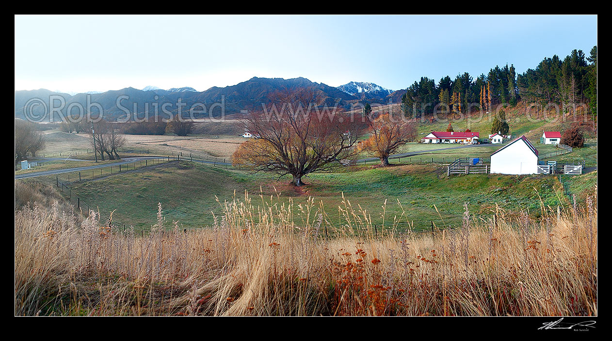 Image of Molesworth Station panorama on a calm autumn mornng, with manager's home, an historic cob building at right, Molesworth Station, Marlborough District, Marlborough Region, New Zealand (NZ) stock photo image