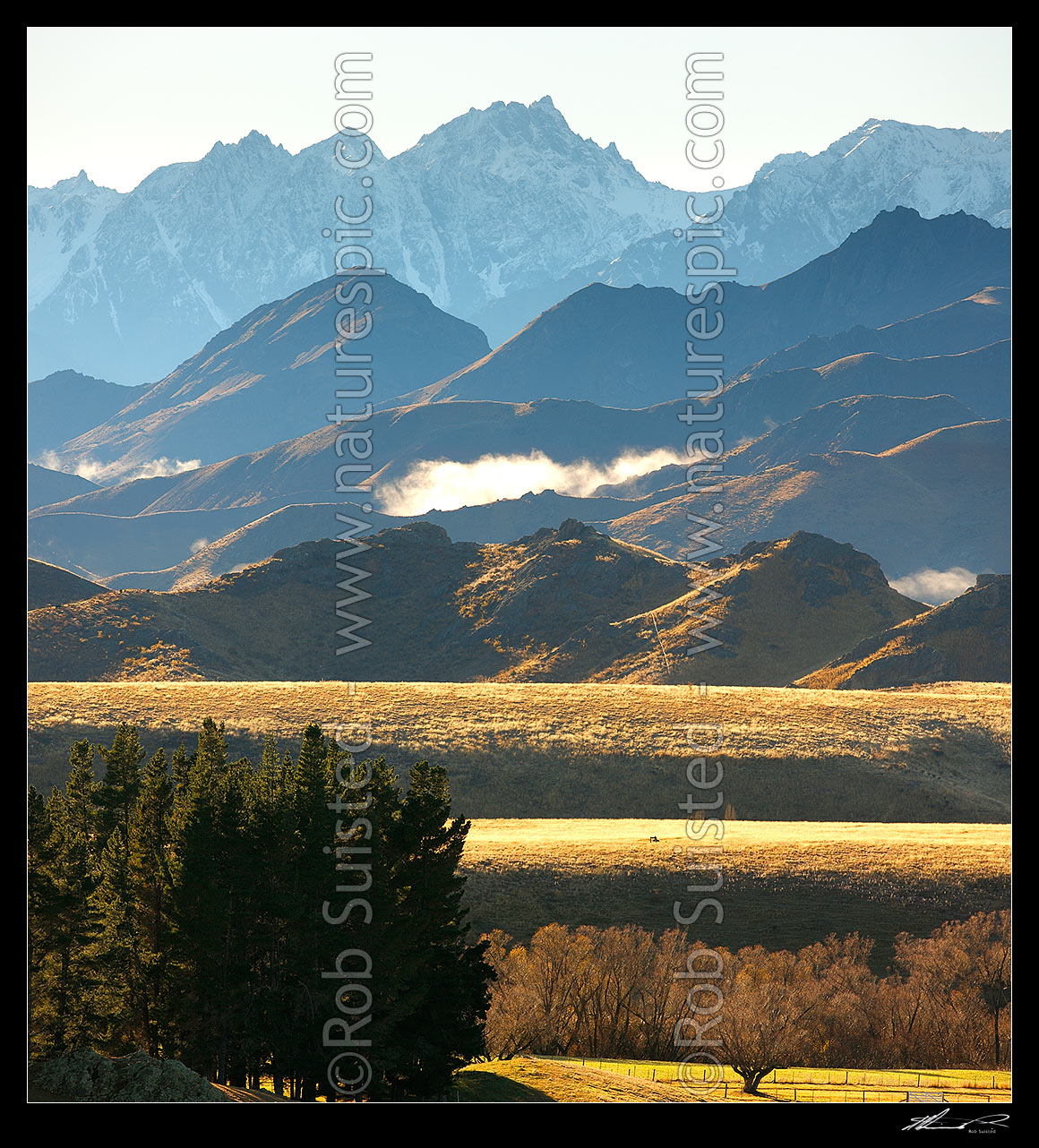 Image of Mount Tapuae-o-Uenuku (2885m) high above Molesworth Station pasture on a calm Autumn morning. Inland Kaikoura Range. Square format, Molesworth Station, Marlborough District, Marlborough Region, New Zealand (NZ) stock photo image