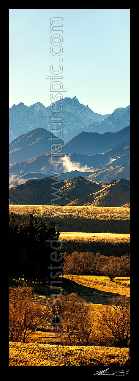 Image of Mount Tapuae-o-Uenuku (2885m) high above Molesworth Station pasture on a calm Autumn morning. Inland Kaikoura Range. Vertical panorama, Molesworth Station, Marlborough District, Marlborough Region, New Zealand (NZ) stock photo image