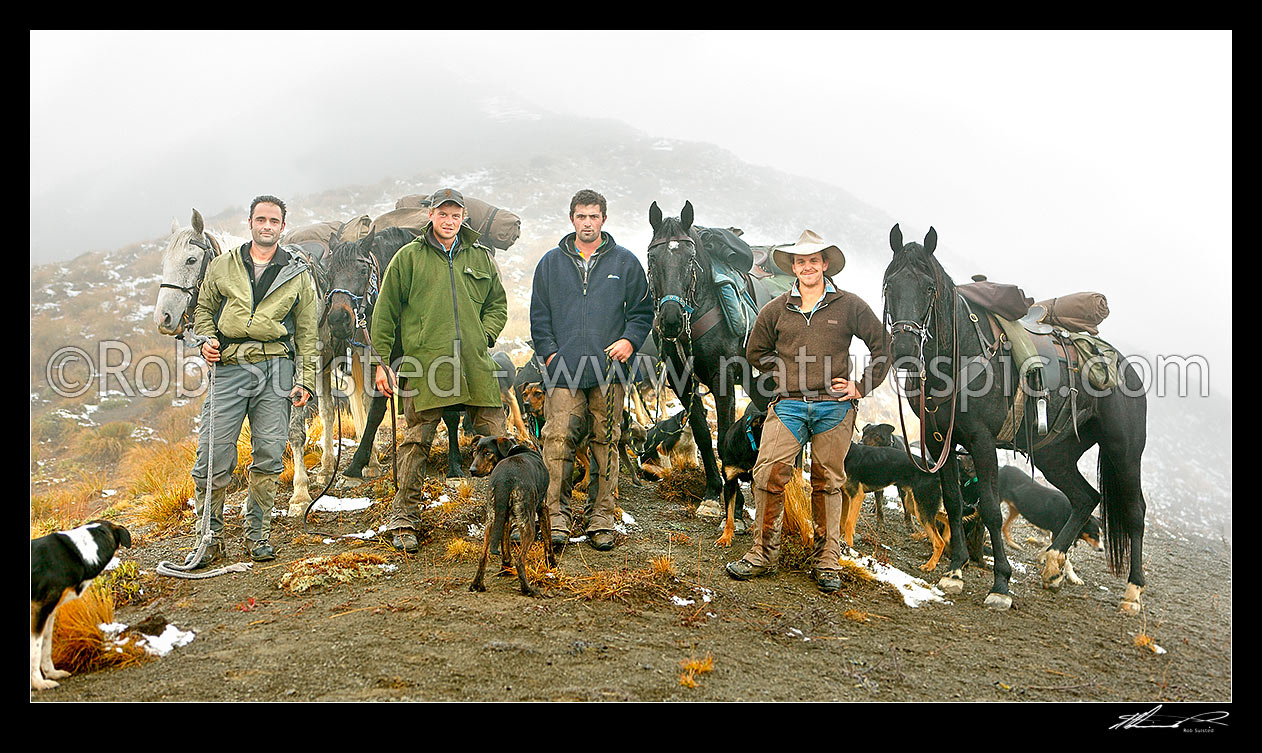 Image of Molesworth Station autumn muster team to Lake McRae on the Robinson Saddle: Rob Suisted (photos), Tom O'Sullivan, Cory Hollister, Andy McLachlan (head), Molesworth Station, Marlborough District, Marlborough Region, New Zealand (NZ) stock photo image