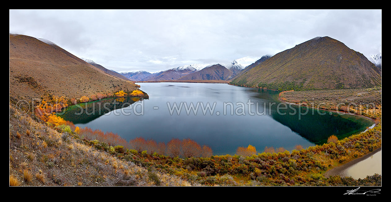 Image of Lake McRae in Autumn colours. Looking up the Tweed River valley and Inland Kaikoura Range right. Goat Valley Stream far right. Panorama, Molesworth Station, Marlborough District, Marlborough Region, New Zealand (NZ) stock photo image