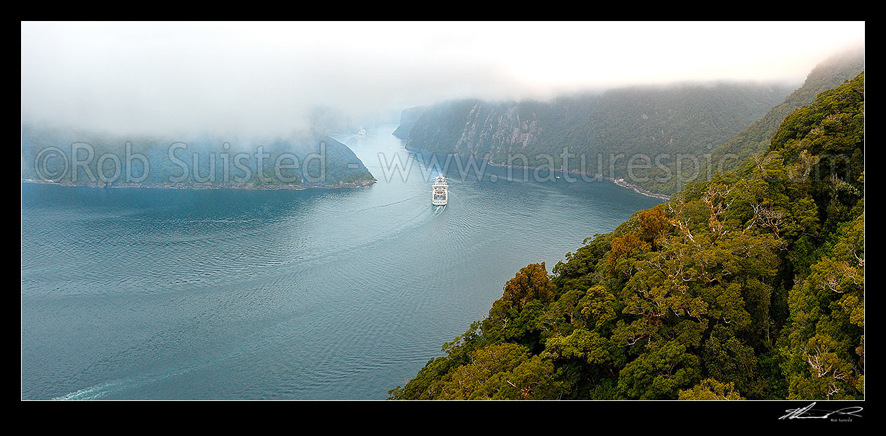 Image of Milford Sound with two cruise ships arriving on a moody early morning to visit the fiord. P and O Pacific Pearl top, Princess Cruises Diamond Princess vessel centre. Aerial panorama, Milford Sound, Fiordland National Park, Southland District, Southland Region, New Zealand (NZ) stock photo image