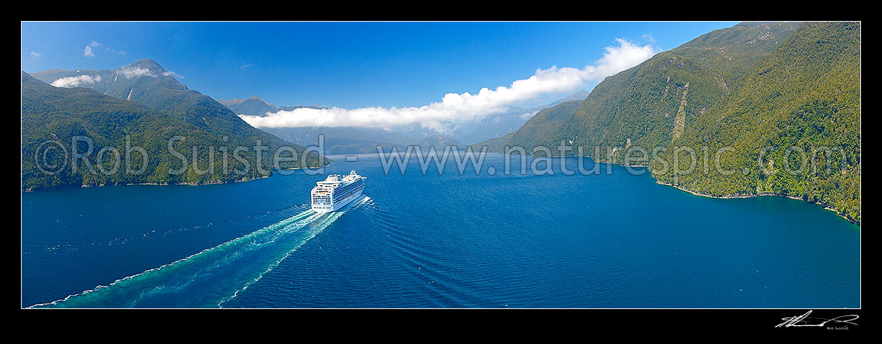 Image of Cruise ship in Thompson Sound, sailing towards Bradshaw and Doubtful Sounds. Princess Cruises Diamond Princess vessel with Secretary Island right. Aerial panorama, Thompson Sound, Fiordland National Park, Southland District, Southland Region, New Zealand (NZ) stock photo image